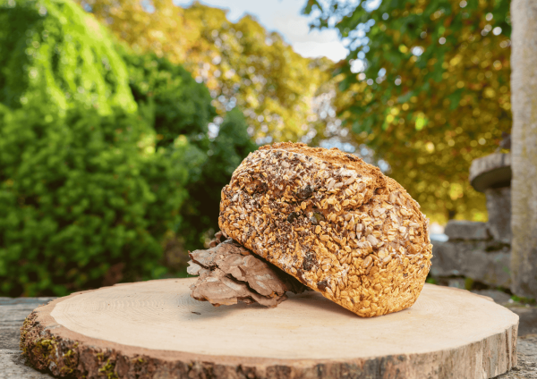 Pain au levain Gilly-les-Citeaux Germain