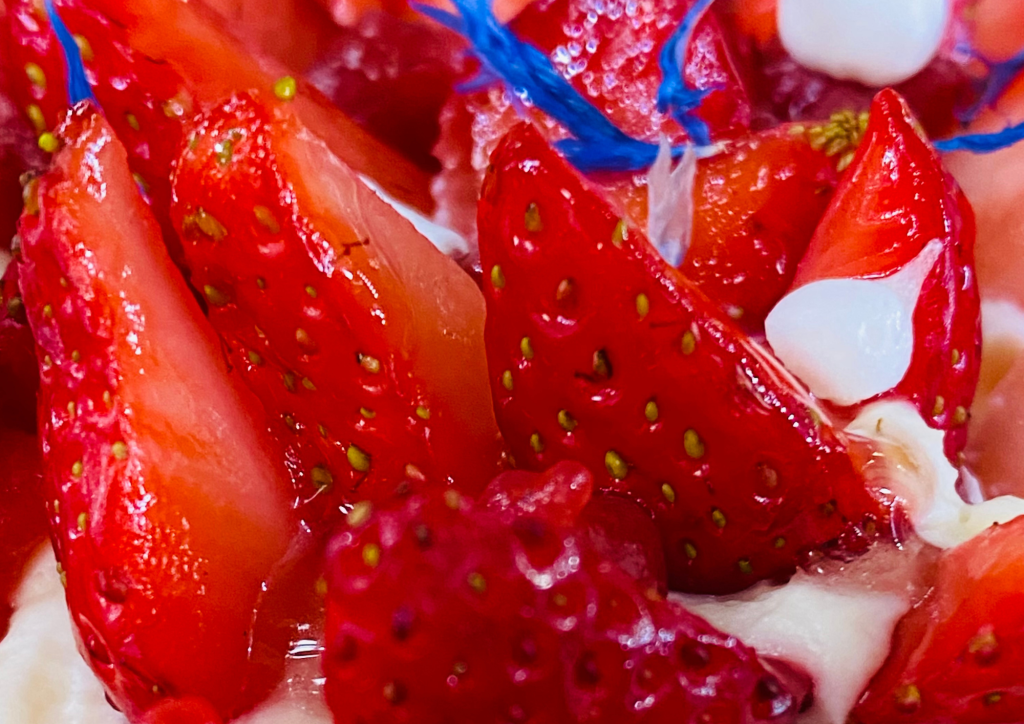 Tarte aux fruits de saison bio Nuits-saint-Georges